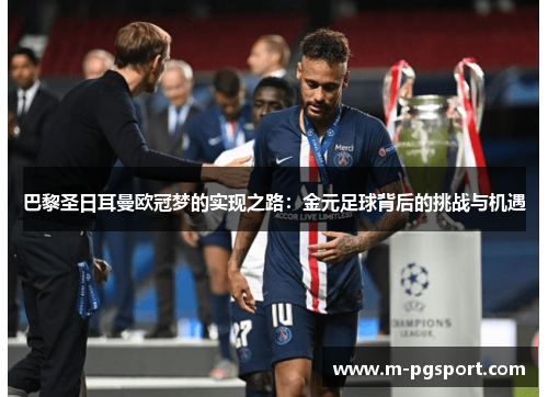 巴黎圣日耳曼欧冠梦的实现之路：金元足球背后的挑战与机遇