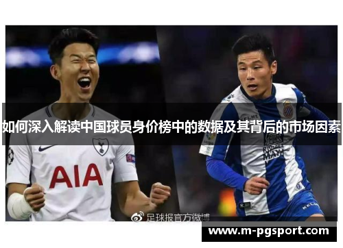 如何深入解读中国球员身价榜中的数据及其背后的市场因素