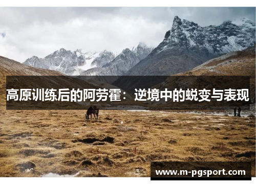 高原训练后的阿劳霍：逆境中的蜕变与表现